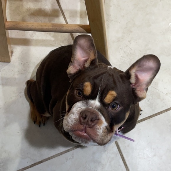 Meet your Posher, Crystal - Picture 1 of 1